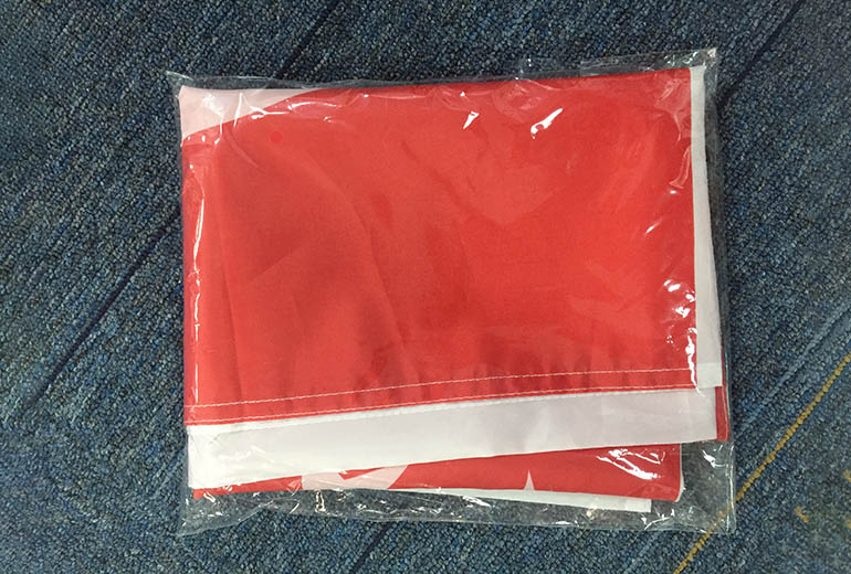 Gahumi Case-Singapore Flag-02.jpg